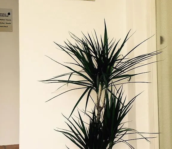 Lindenhof Limburg an der Lahn