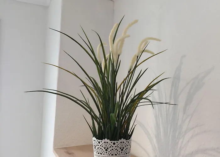 Lindenhof 3* Limburg an der Lahn